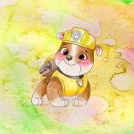 PANELA - PAW PATROL 3 kosi